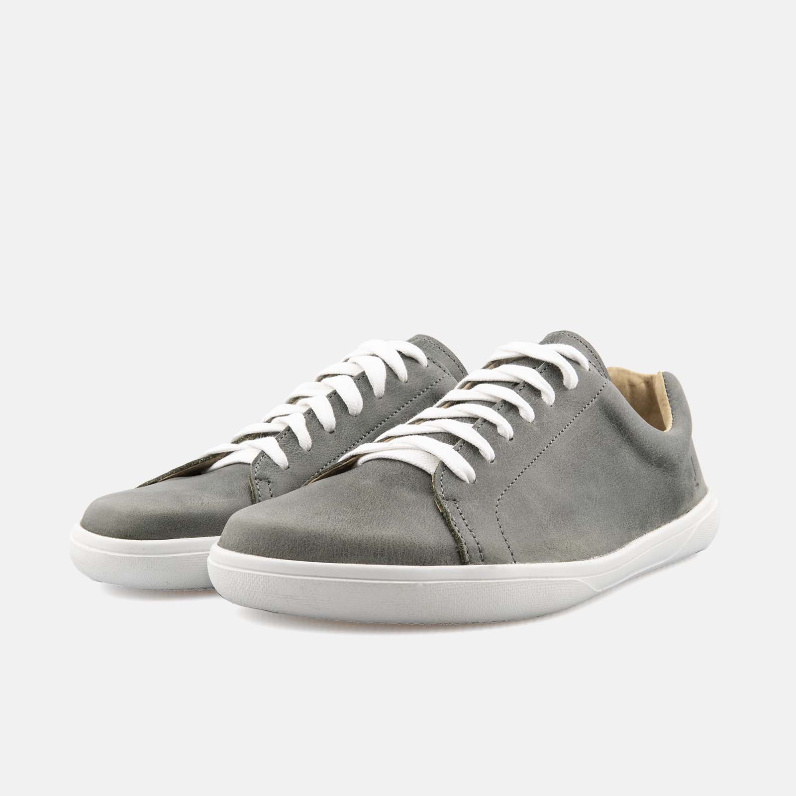 Barefoot Tommy Shark