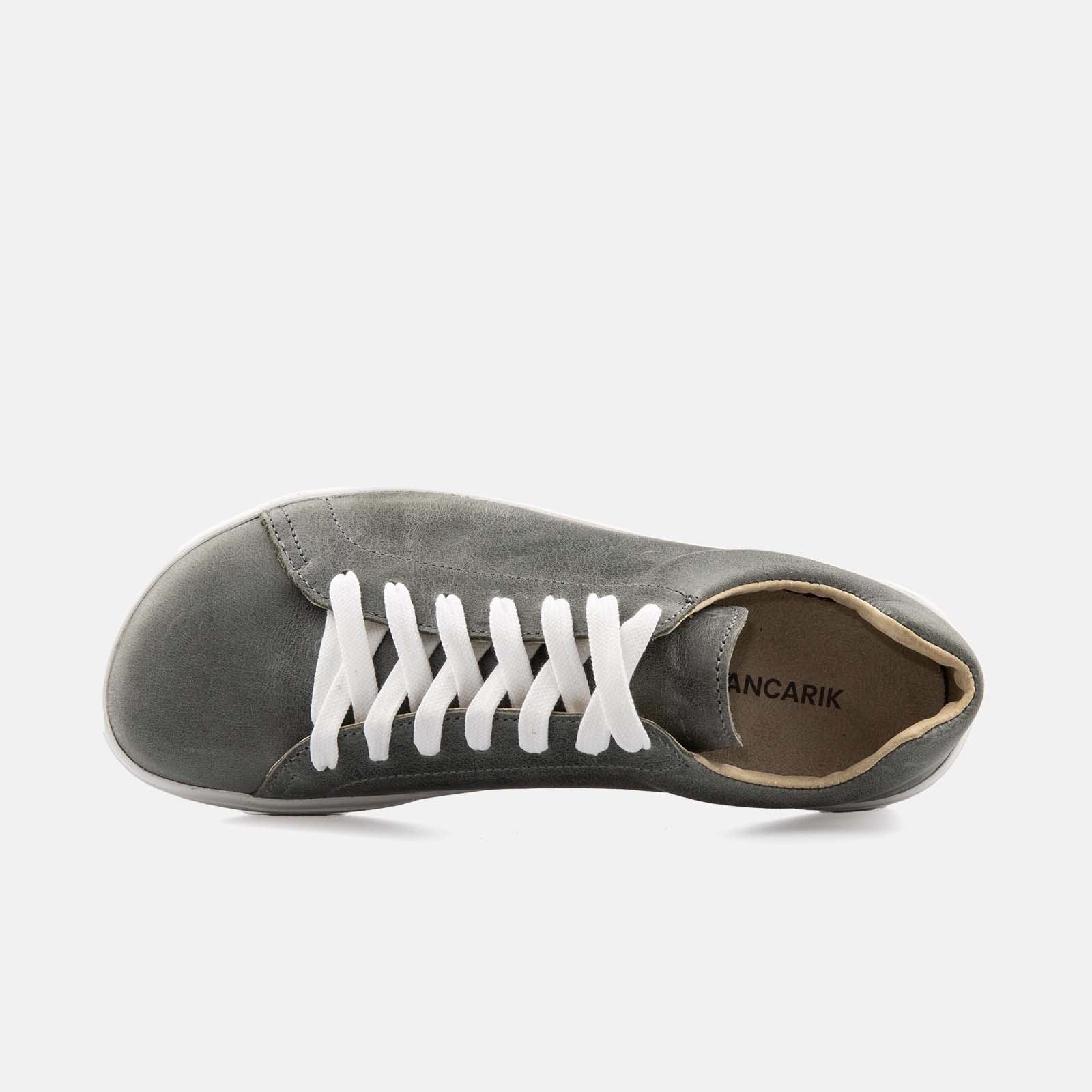 Barefoot Tommy Shark